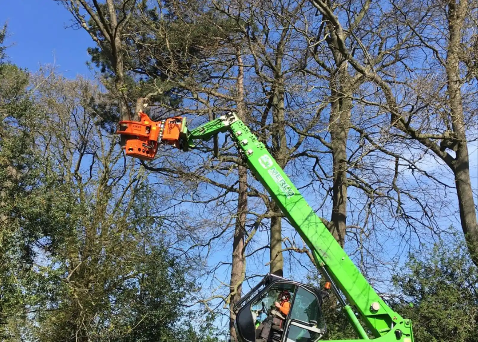Green telehandler with an orange grapple saw cutting limbs high in a stand of trees