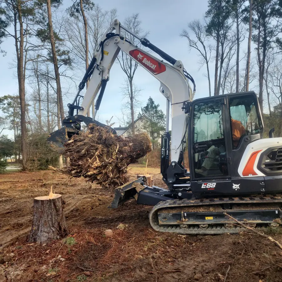 Bobcat excavator lifting a pulled root ball beside a cut stump in the woods